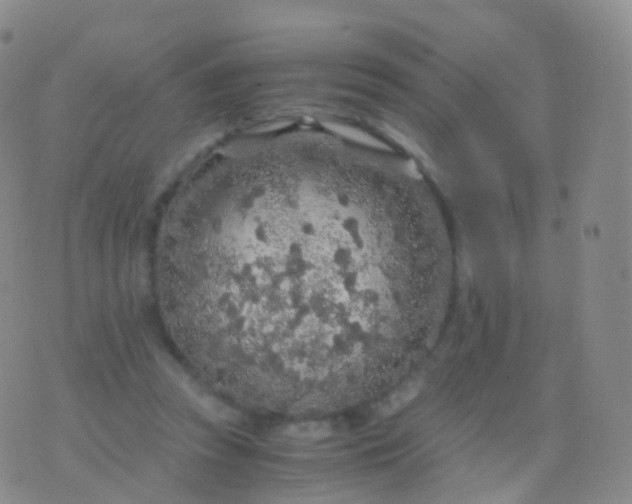 X0000076430353200610202250