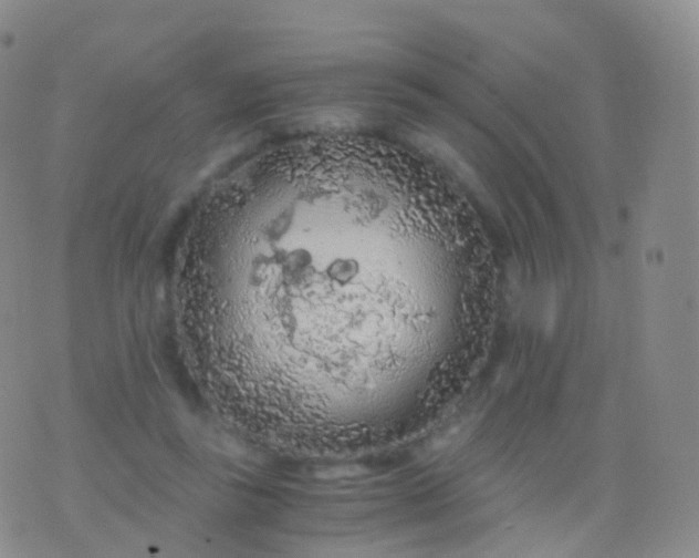 X0000076430355200610202250