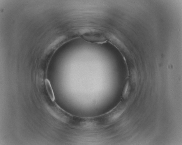 X0000076430356200610202250