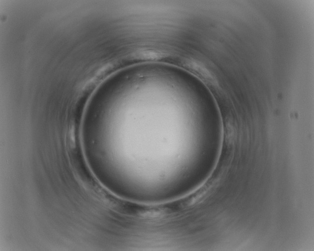 X0000076430358200610202251