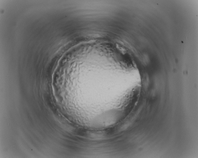 X0000076430359200610202251