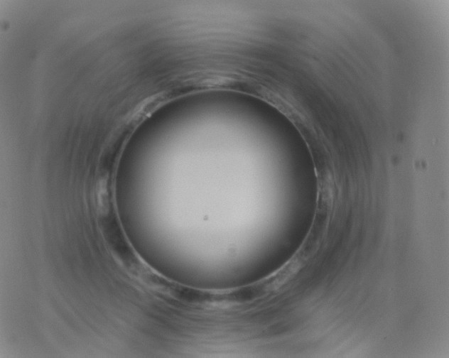 X0000076430360200610202251