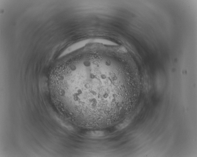 X0000076430361200610202251