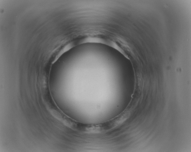 X0000076430362200610202251