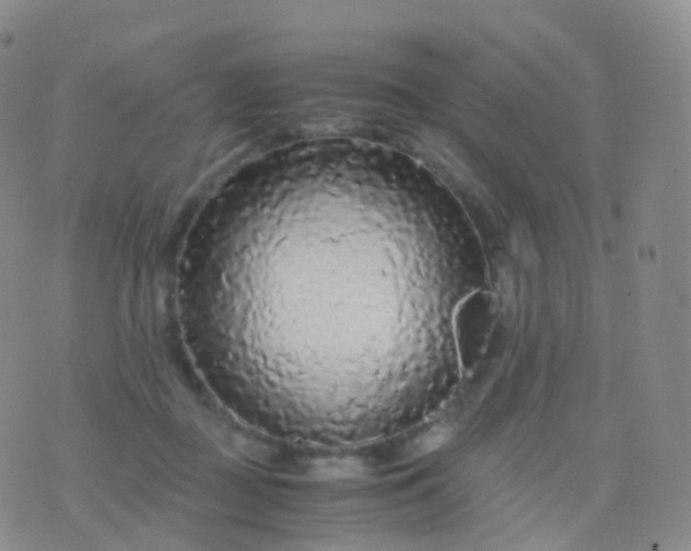 X0000076430363200610202251