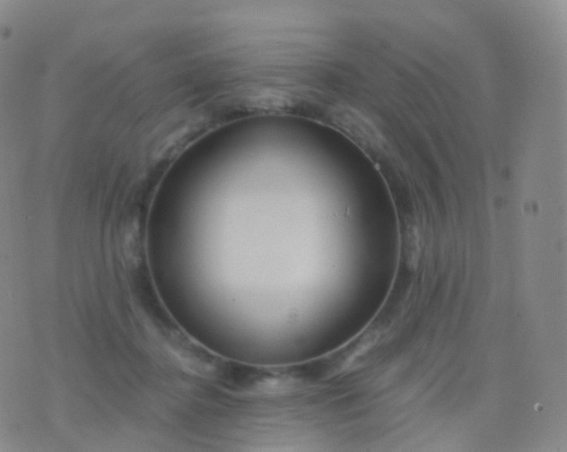 X0000076430364200610202251