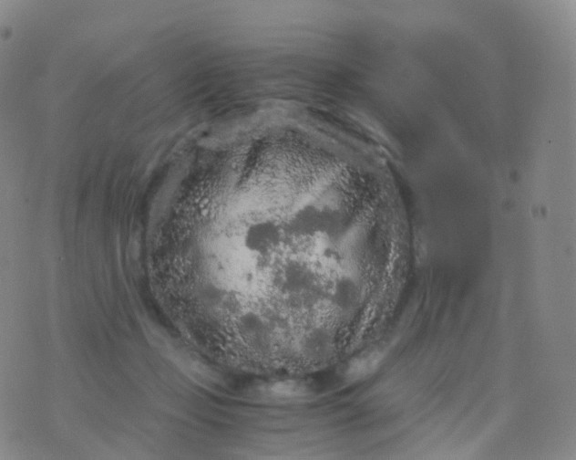 X0000076430365200610202251