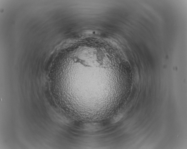 X0000076430367200610202251