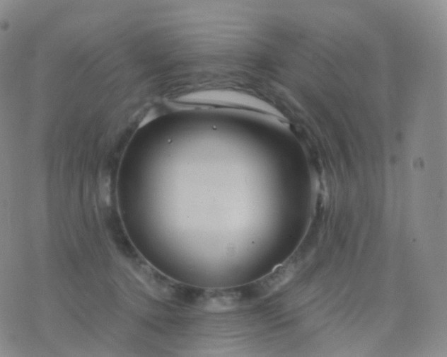 X0000076430368200610202251