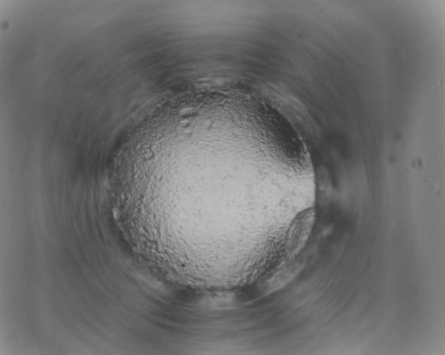 X0000076430369200610202251