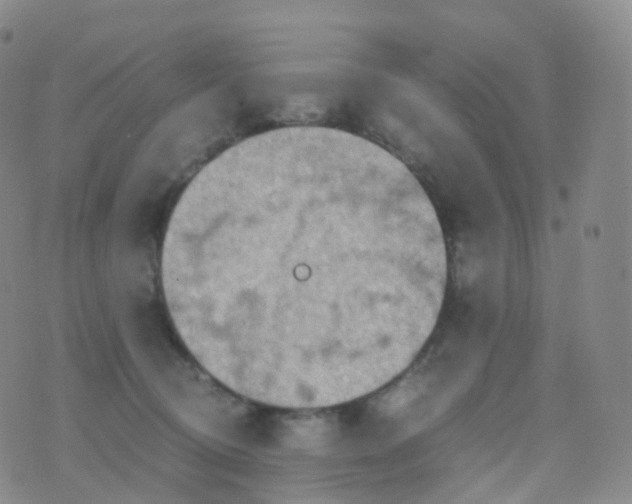 X0000076430370200610202251