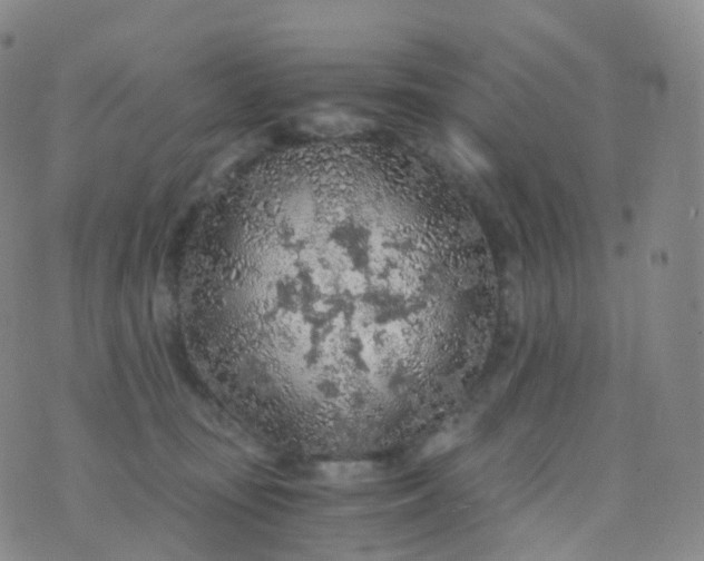 X0000076430371200610202251