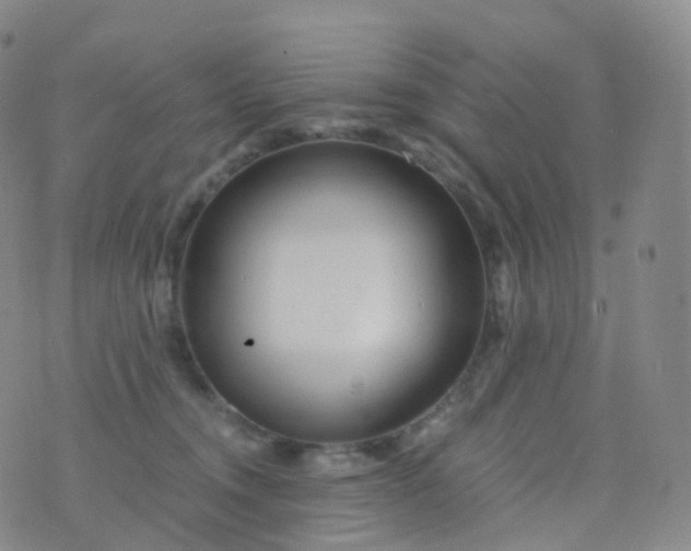 X0000076430372200610202251