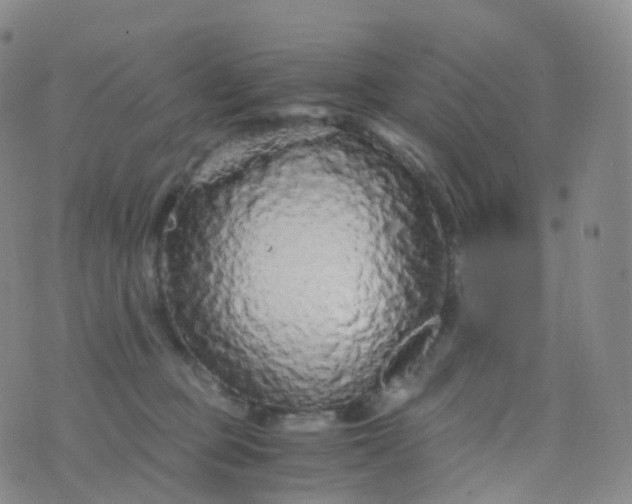 X0000076430373200610202251