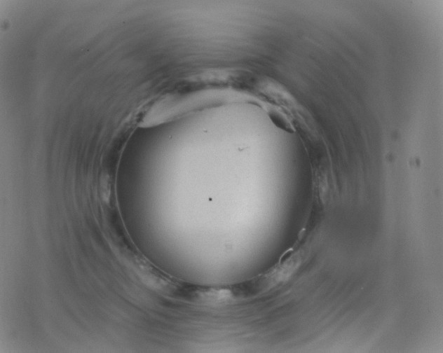 X0000076430374200610202251