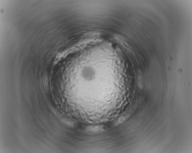 X0000076430375200610202251