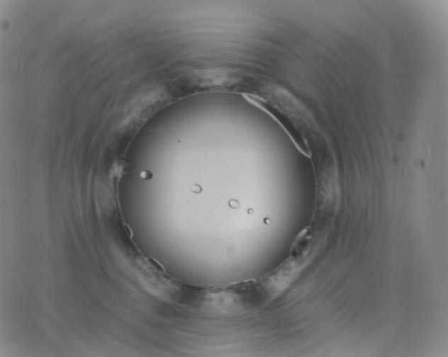 X0000076430376200610202251