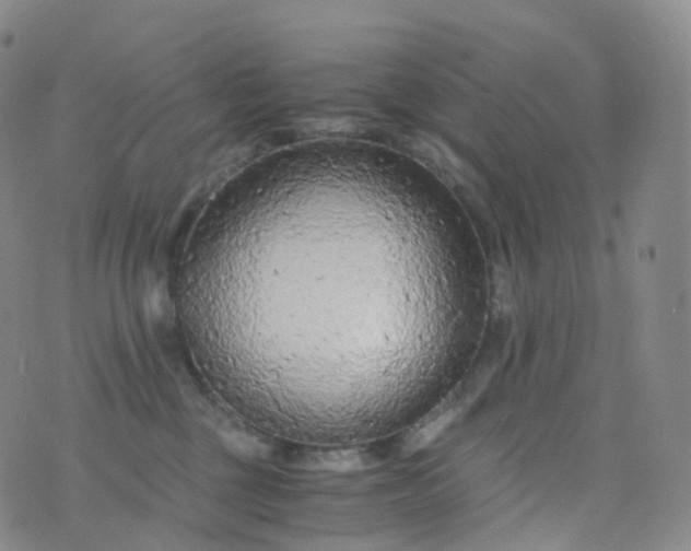 X0000076430377200610202251