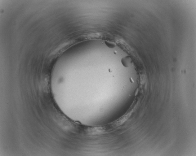 X0000076430378200610202251