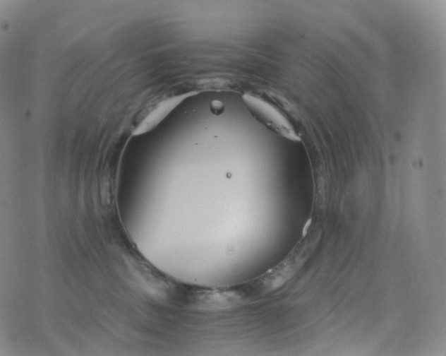 X0000076430379200610202251