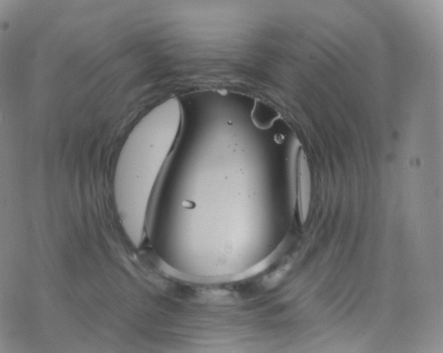 X0000076430380200610202251