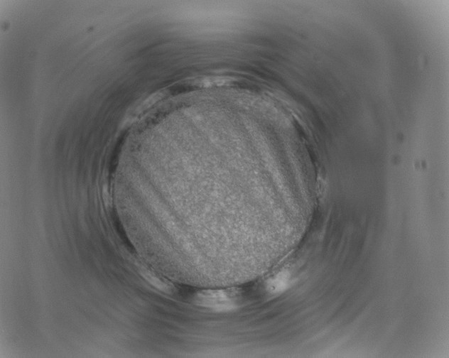 X0000076430381200610202251