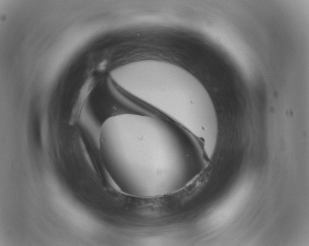 X0000076430382200610202251