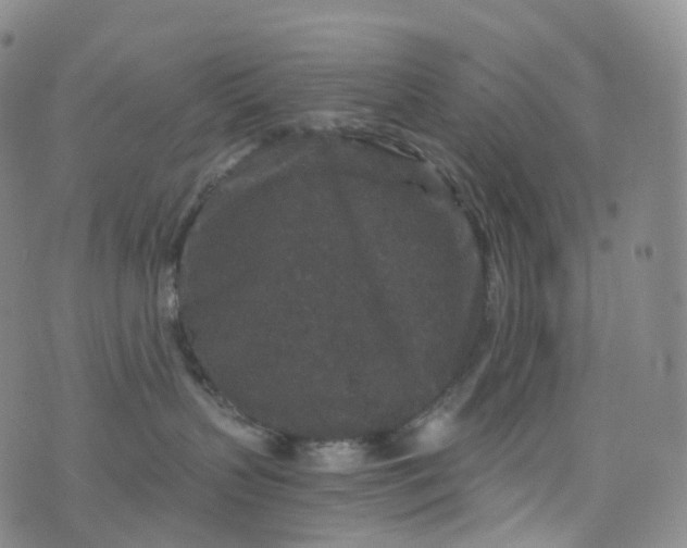 X0000076430383200610202251