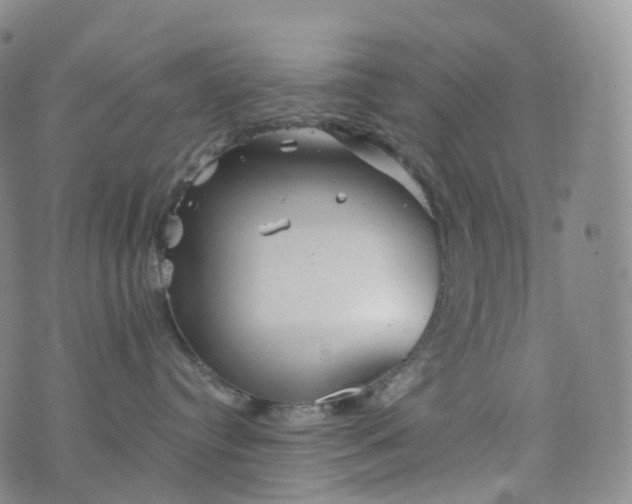 X0000076430384200610202251