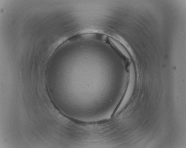 X0000076430385200610202250