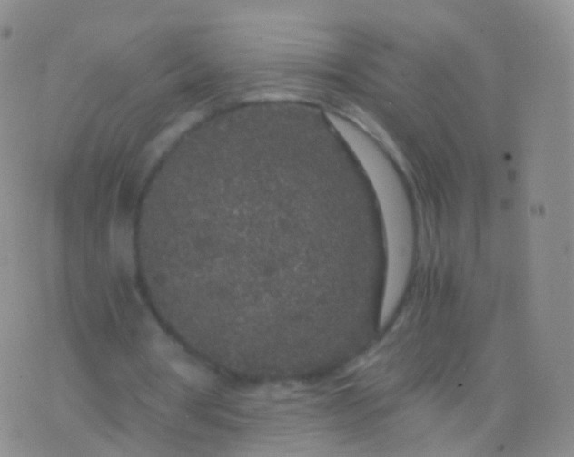 X0000076430386200610202250