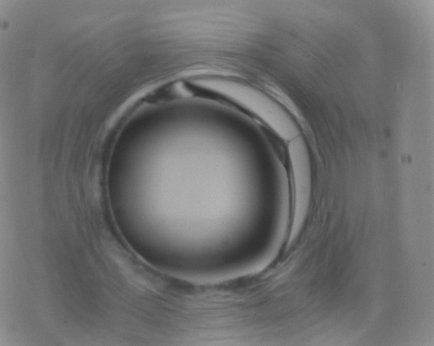 X0000076430387200610202250