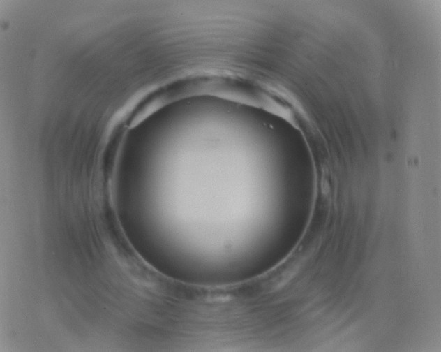 X0000076430388200610202250