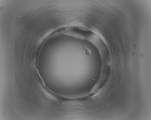 X0000076430389200610202250