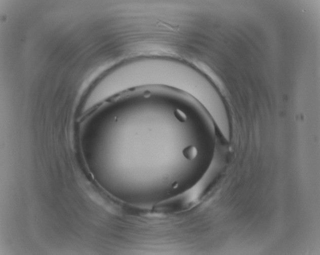 X0000076430391200610202250