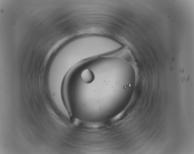 X0000076430392200610202250