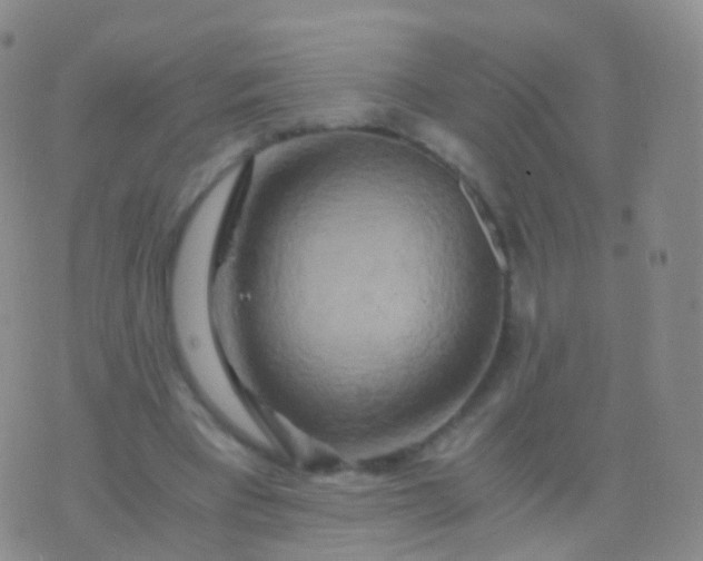 X0000076430393200610202250