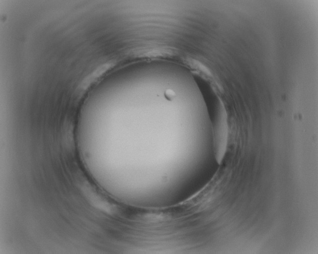 X0000076430394200610202250