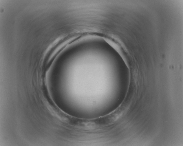 X0000076430395200610202250