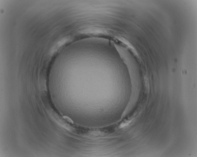 X0000076430399200610202250