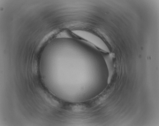 X0000076430400200610202250