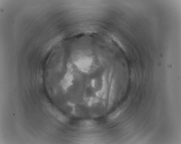 X0000076430402200610202250