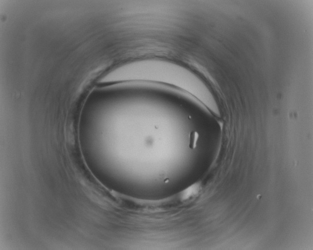 X0000076430403200610202250