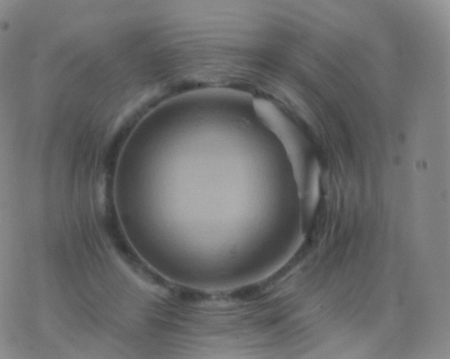 X0000076430404200610202250