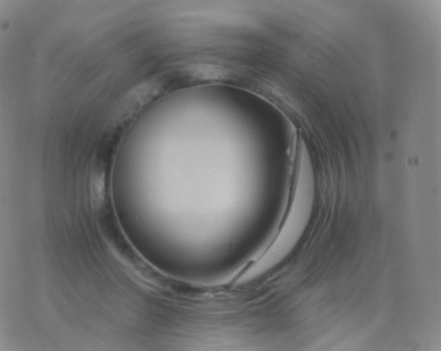 X0000076430406200610202250