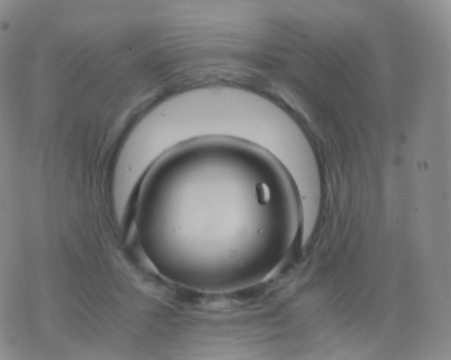 X0000076430407200610202250