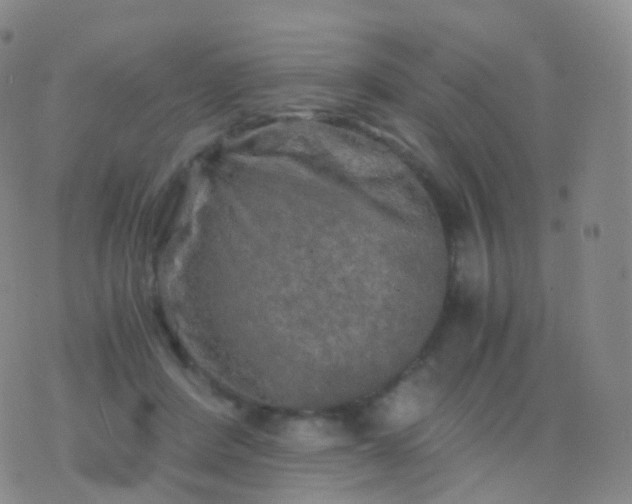 X0000076430408200610202250