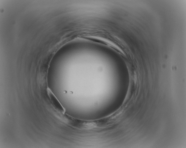 X0000076430409200610202250