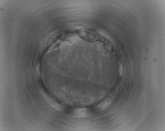 X0000076430410200610202250