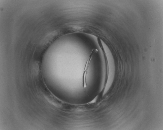 X0000076430412200610202250